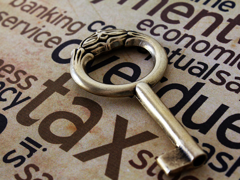 Professional Services