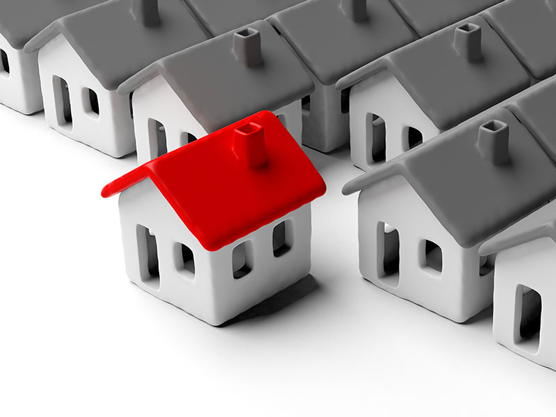 Professional Services