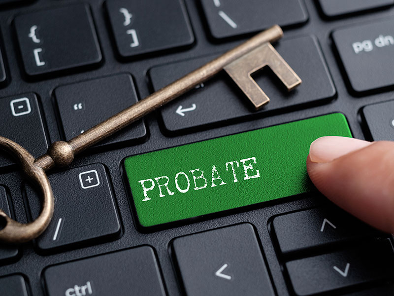 Professional Services